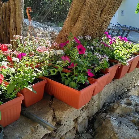 Διαμέρισμα Nicoll Trstenik (Dubrovnik-Neretva)