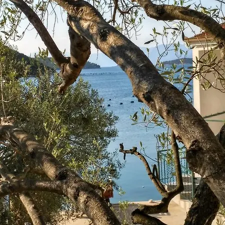 Nicoll * Trstenik (Dubrovnik-Neretva)