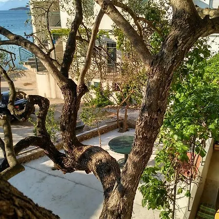 Nicoll Trstenik (Dubrovnik-Neretva)