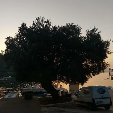 Nicoll * Trstenik (Dubrovnik-Neretva)
